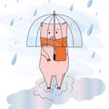 Piggy under an umbrella in the rain