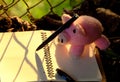 Piggy woolen pink pig writing paper, falling leaf with yellow sunset light