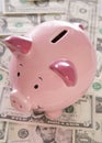 Piggybank with american dollars Royalty Free Stock Photo