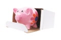 Piggybank in Cardboard Box Royalty Free Stock Photo