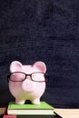 Piggybank college student with glasses and blackboard, vertical copy space Royalty Free Stock Photo