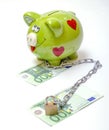Piggybank with Dollar and Euro Royalty Free Stock Photo