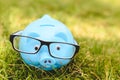 Piggybank with eyewear on green spring grass