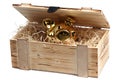 Piggybank in wooden box with wood-wool