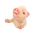 Piglet cartoon standing up close up Royalty Free Stock Photo