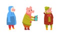 Piglet Christmas Characters in Action Set, Cute Funny Pig Characters Dressed Warm Bright Clothes Cartoon Vector