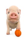 Piglet holding a basketball ball