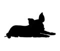 Piglet lies silhouette. Little piggy solid realistic shape
