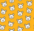 Piglets, seamless pattern, orange, vector.