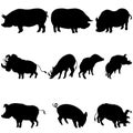 Pigs and boars silhouettes set