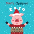 Pigs in a Christmas sweater, wearing a red Santa Claus hat. Merry Christmas - the inscription. Christmas card, poster, t