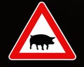 Pigs crossing sign, free range porks. Royalty Free Stock Photo