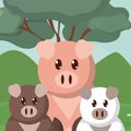 Pigs family cute animals cartoons