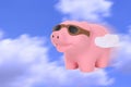 When Pigs Fly