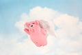 When Pigs Fly Royalty Free Stock Photo