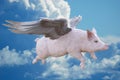 When Pigs Fly, Flying Pig Royalty Free Stock Photo