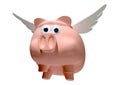 When Pigs Fly Royalty Free Stock Photo