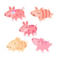 Funny pigs cartoon set