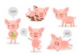 Pigs hand drawn style, cute funny characters.