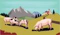 Pigs in a mountain meadow