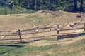 Pigs on a pig farm outdoor in animal friendly environment.