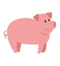 Pigs vector cartoon character