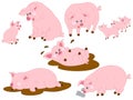 Pigs Vector Set