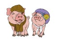 Pigs in winter clothes hat and scarf Royalty Free Stock Photo