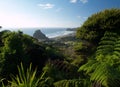 Piha beach Royalty Free Stock Photo