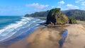 Piha Beach and Lion Rock in the morning sun, New Zealand