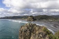 Piha Beach Overview Royalty Free Stock Photo