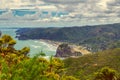 Piha beach view, western coast of Auckland, New Zealand