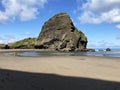 Piha coast in Aukland New Zealand. Royalty Free Stock Photo