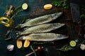 Pike fish with spices and herbs. Preparation. Royalty Free Stock Photo