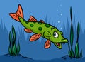 Pike fish swim river cartoon