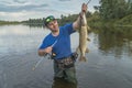 Pike fishing. Fisherman catch fish in water at river