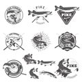 Pike fishing labels. Royalty Free Stock Photo