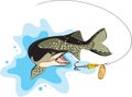 Pike and lure fishing, vector illustration Royalty Free Stock Photo