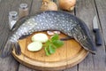 Pike raw fish preparation to baking Royalty Free Stock Photo