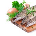 Pike raw fish Royalty Free Stock Photo