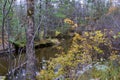 Pike River in Fall 835926