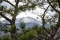 Pike`s Peak visible through trees