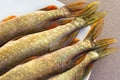 Pike tails lying on a plate. Freshwater fish. Fresh pike Royalty Free Stock Photo