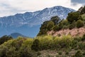 Pikes peak mountain range colorado springs Royalty Free Stock Photo