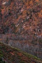 Pikes peak mountain range colorado springs Royalty Free Stock Photo