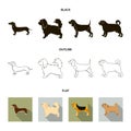 Pikinise, dachshund, pug, peggy. Dog breeds set collection icons in black,flat,outline style vector symbol stock