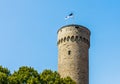 View of Pikk Hermann Tower, part of Toompea Castle, Old Town, Tallinn, Estonia Royalty Free Stock Photo