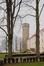 Pikk Hermann tower in Tallin Royalty Free Stock Photo