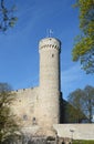 Pikk Hermann tower of Toompea Castle, Tallinn, Estonia Royalty Free Stock Photo