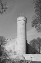 Pikk Hermann tower of Toompea Castle, Tallinn, Estonia Royalty Free Stock Photo